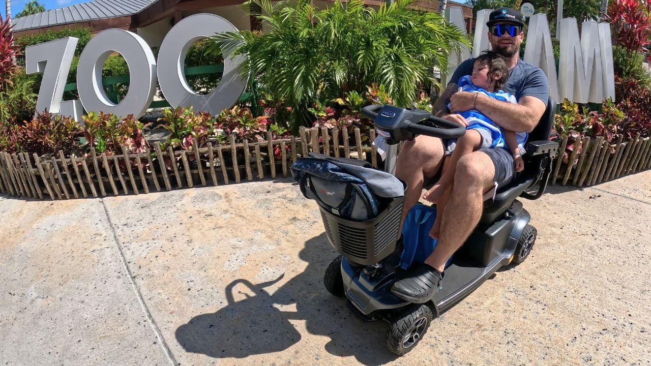 The Most Accessible Zoo In Florida - Miami Zoo
