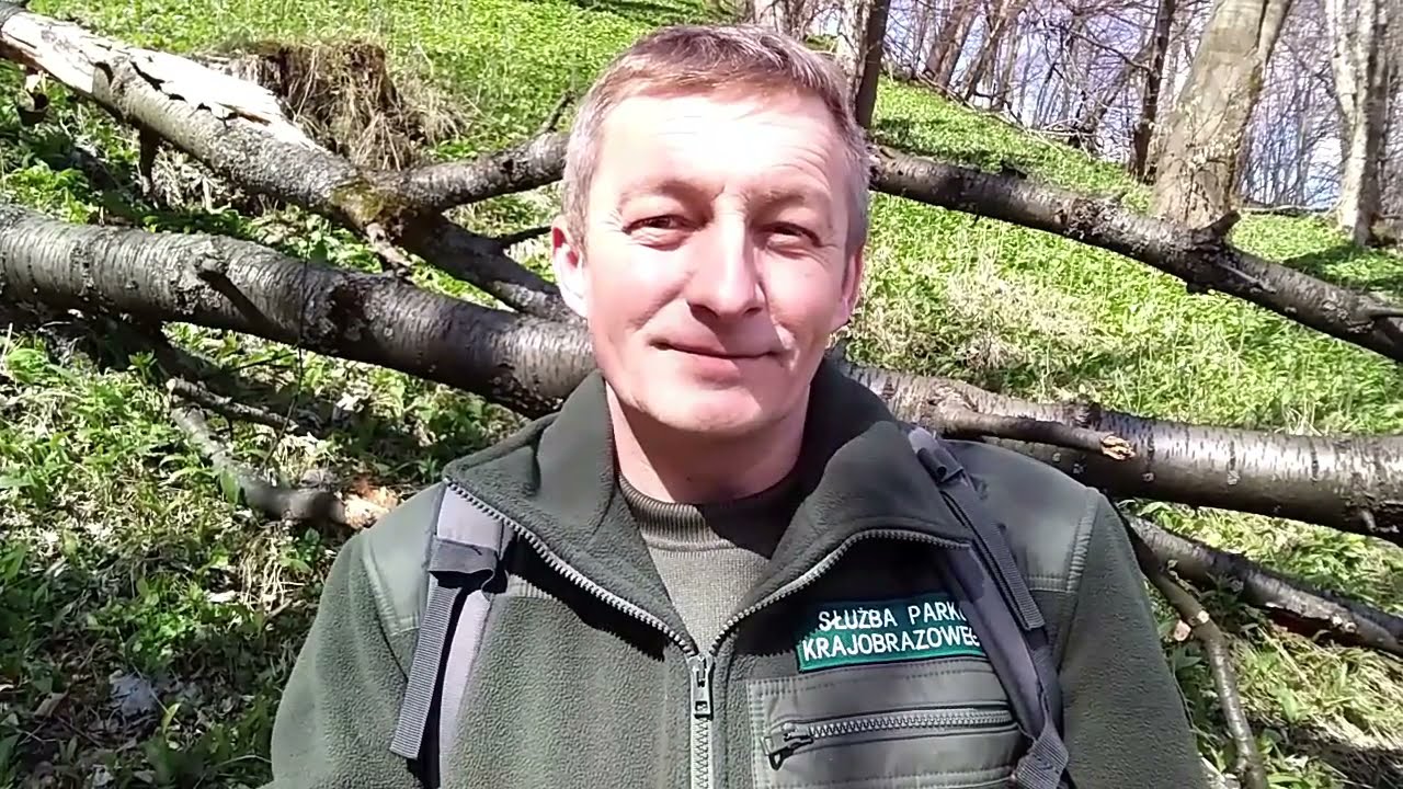 Użytek ekologiczny Góra Tuł
