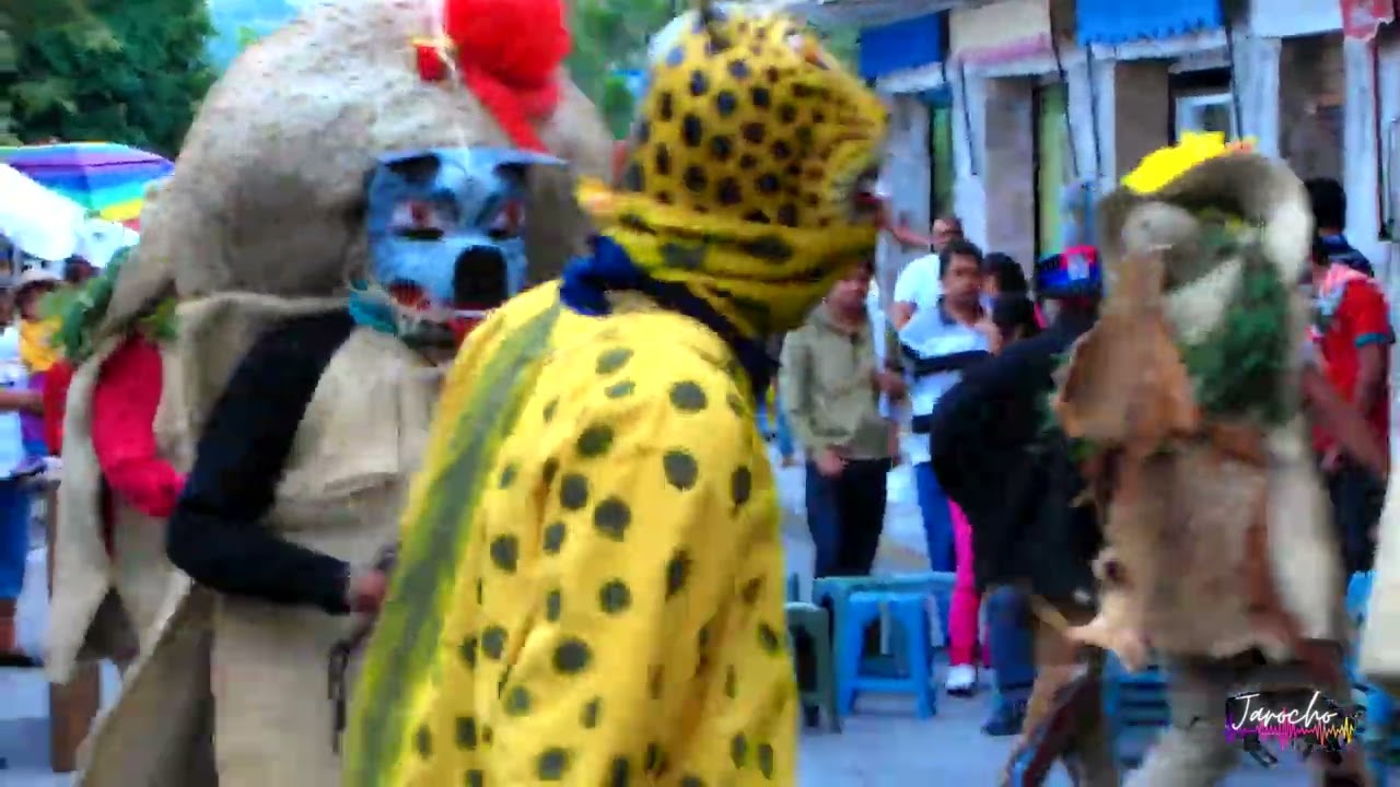 TLACOLOLEROS DE CHILPO (CHILPANCINGO 2013) RECUERDO