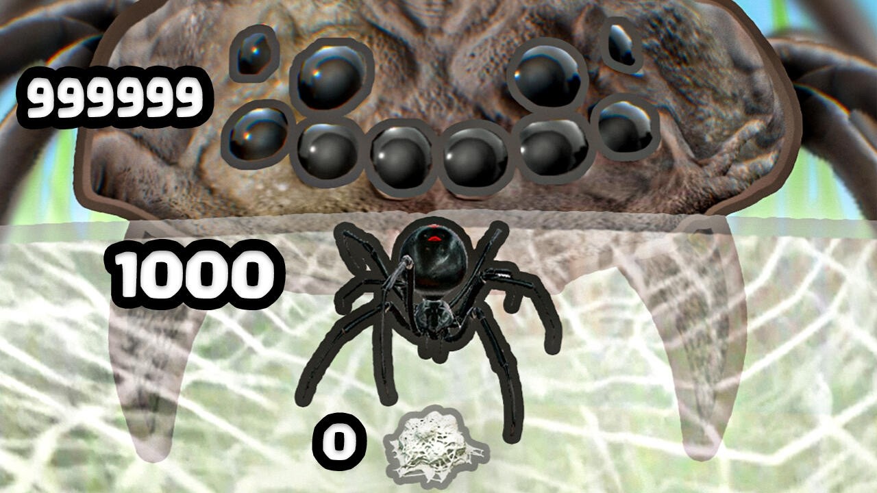 Growing a Spider Egg to MAX LEVEL TARANTULA
