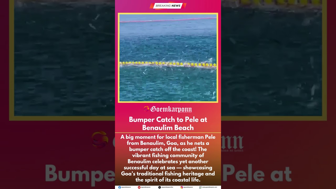 Bumper Catch to Pele at Benaulim Beach, Goa