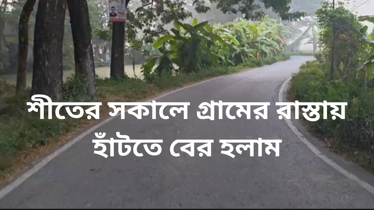শীতের সকালে গ্রামের রাস্তায় হাঁটতে বের হলাম