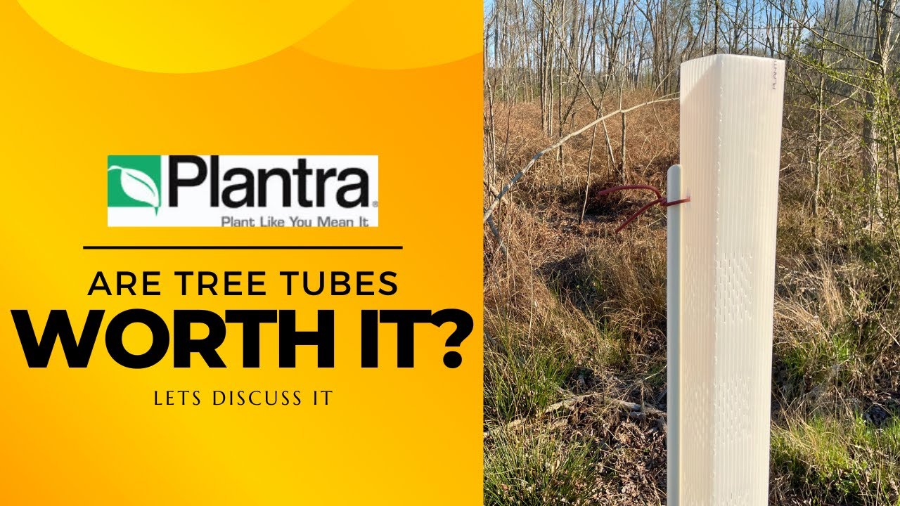 Maximizing Tree Growth with Tree Tubes: Plantra Tree Tube Review & Comparison