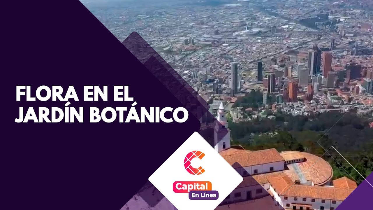 Jardín Botánico de Bogotá, el centro de conservación de vegetación colombiana | Capital En Línea