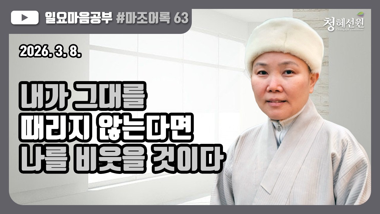 2026.03.08. [청혜선원] 일요공부ㅣ마조어록 제 63회  제3부 25. 조사가 서쪽에서 온 뜻  