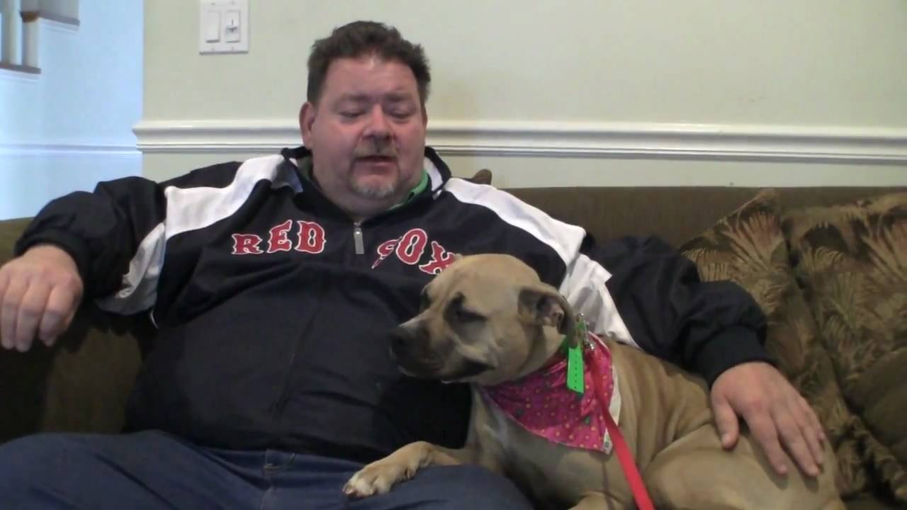 DOG TRAINING AN AGGRESSIVE DOG