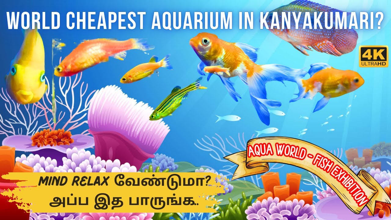 கண் கவரும் கடல் மீன் Aquarium | Tourist places in Kanyakumari 🤯💥 | AQUA WORLD SEA FISH EXHIBITION