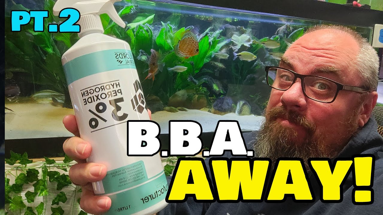 УНИЧТОЖЬТЕ водоросли «Черная борода» с помощью H2O2!