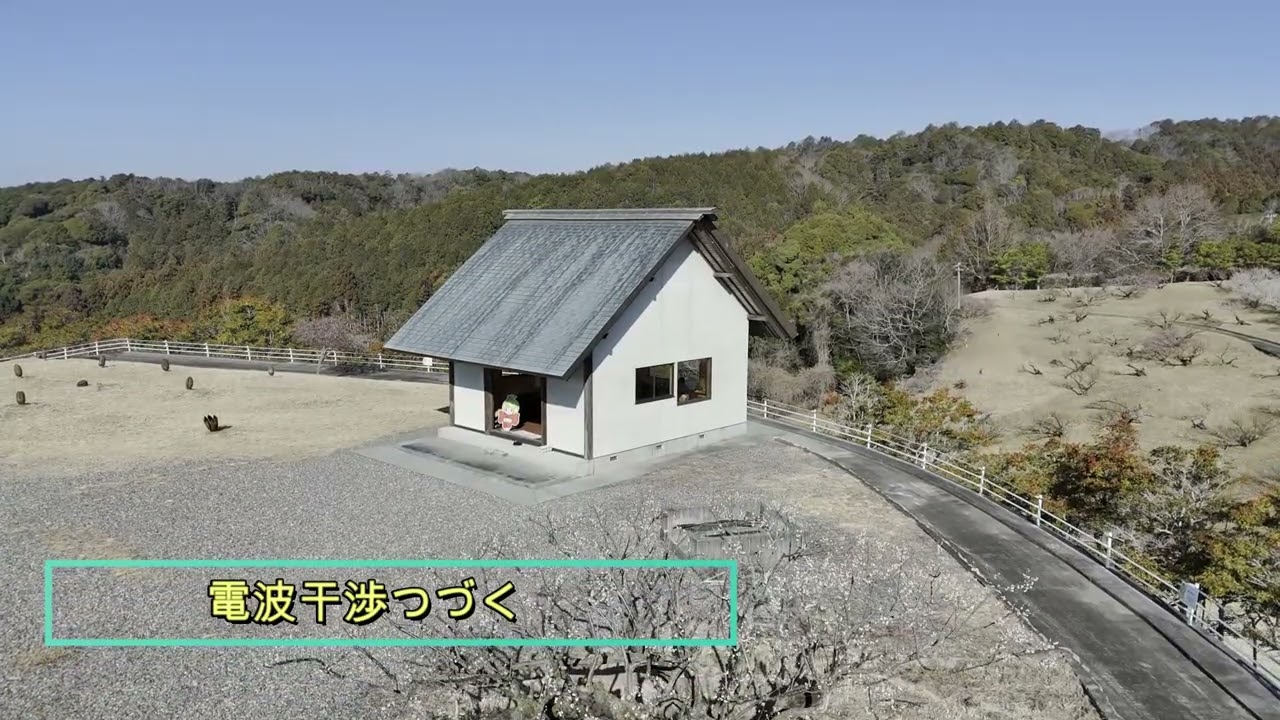 豊岡梅園ドローン撮影会　260213