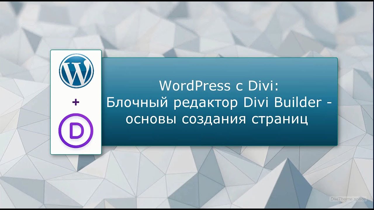 Блочный конструктор Divi Builder:  основы создания страниц сайта WordPress  в конструкторе Divi