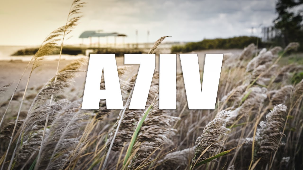 SONY A7IV CINEMATIC - "ROSES" - (VIDEO TEST)
