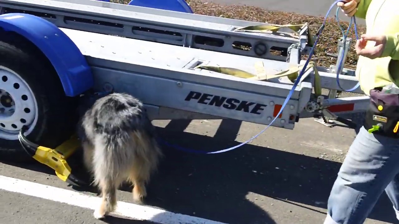 Rain Finds Flatbed Trailer Hides