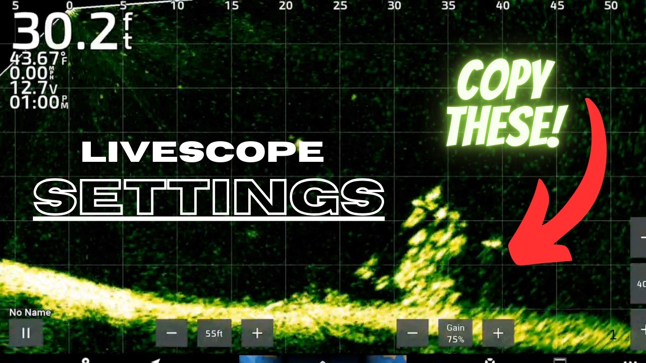 Garmin Livescope Settings to Try! Start with these!