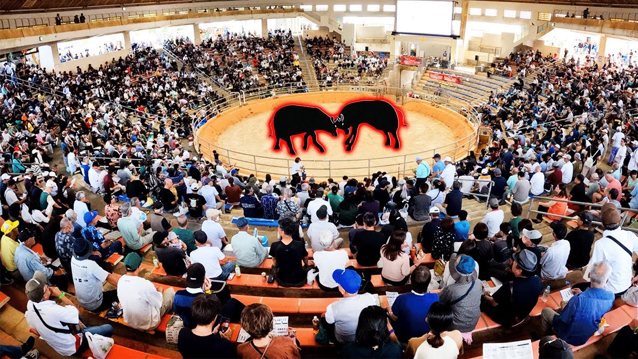 【満員御礼】沖縄県民大興奮のイベントに初めて行ったら熱気が凄まじすぎた！！