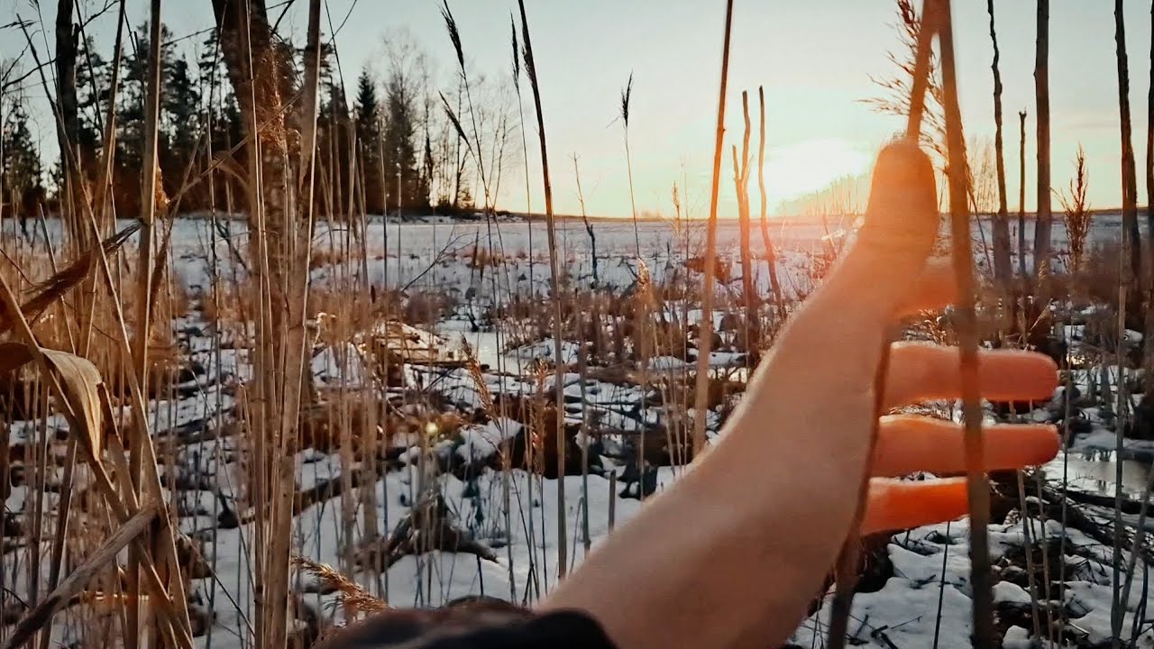 Kevade tulek/Spring is coming