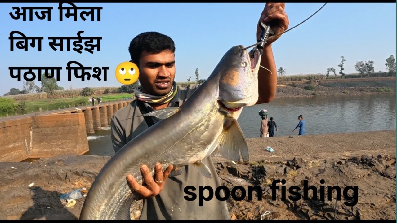 आज मिला बहुत बडा पठाण मच्ची. Big size walgato fishing.