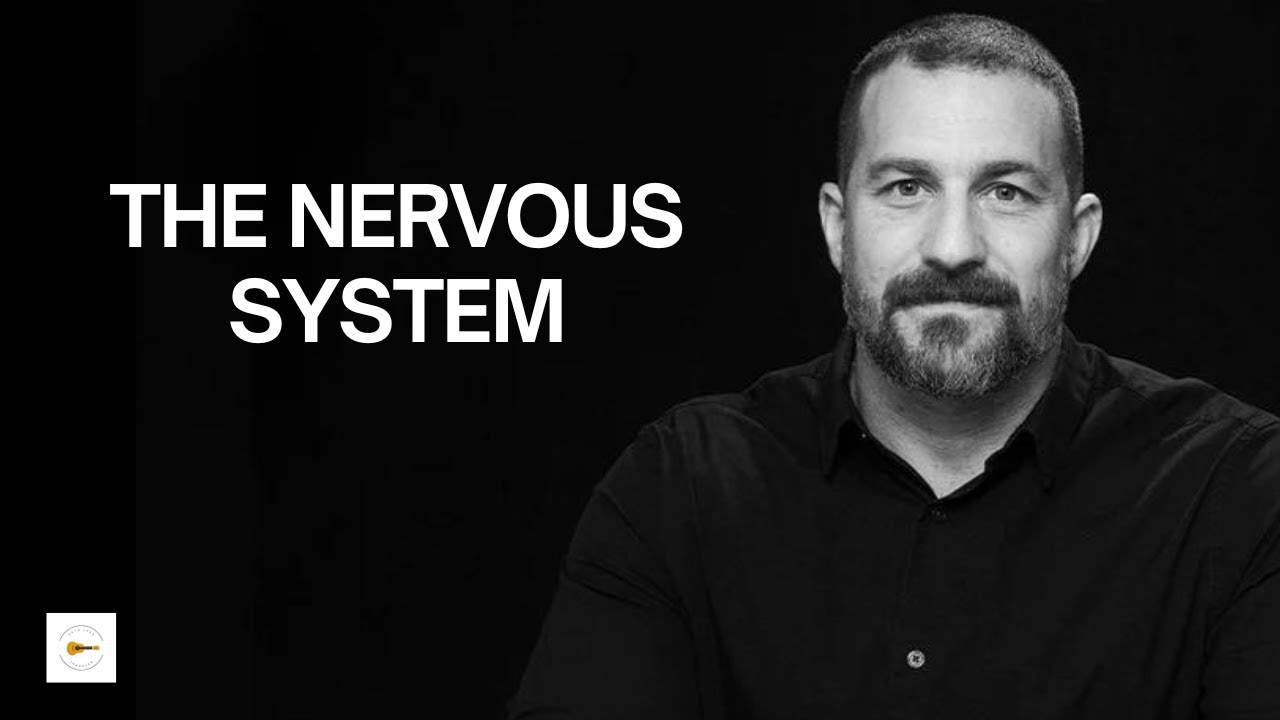 Andrew Huberman on How The Nervous System, Hormones and Neuromodulators Works