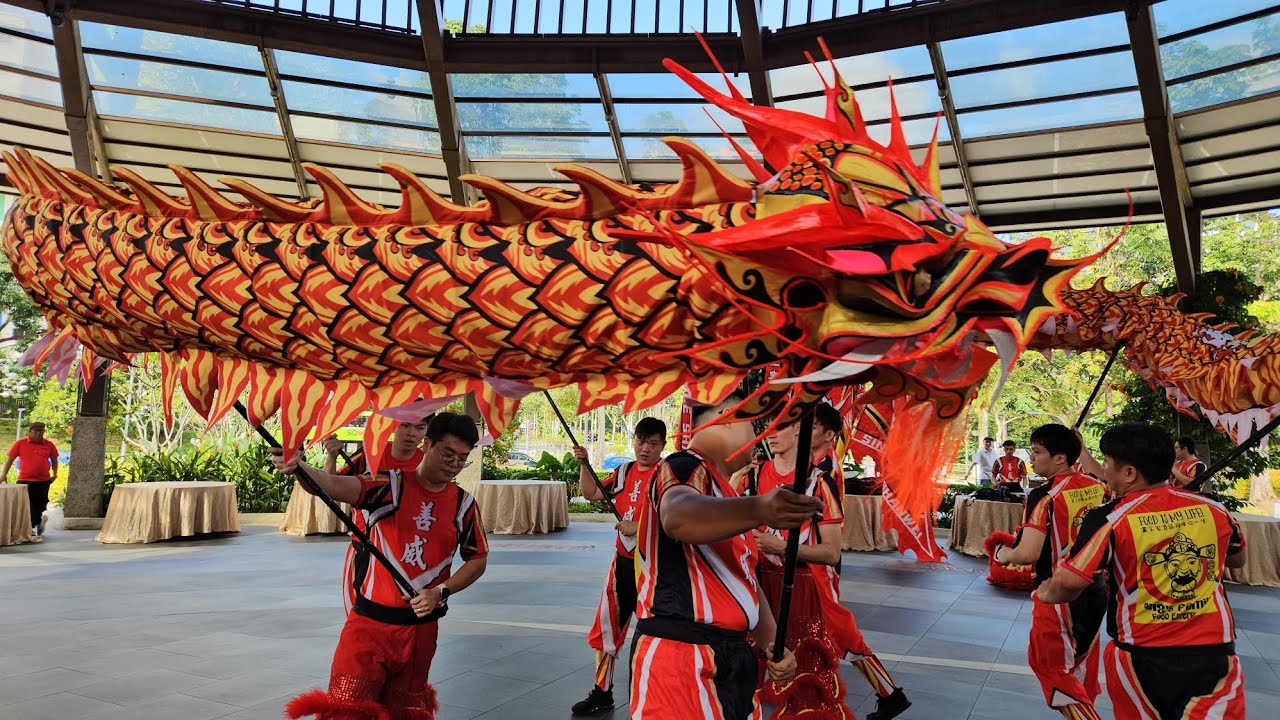 新加坡善威龍獅院 Singapore Shan Wei Dragon & Lion Dance Performance @ Yishun Safra 03/02/24