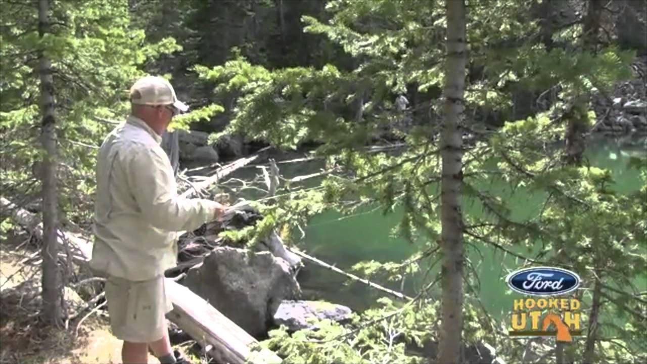 Boulder Mountain Cutty's