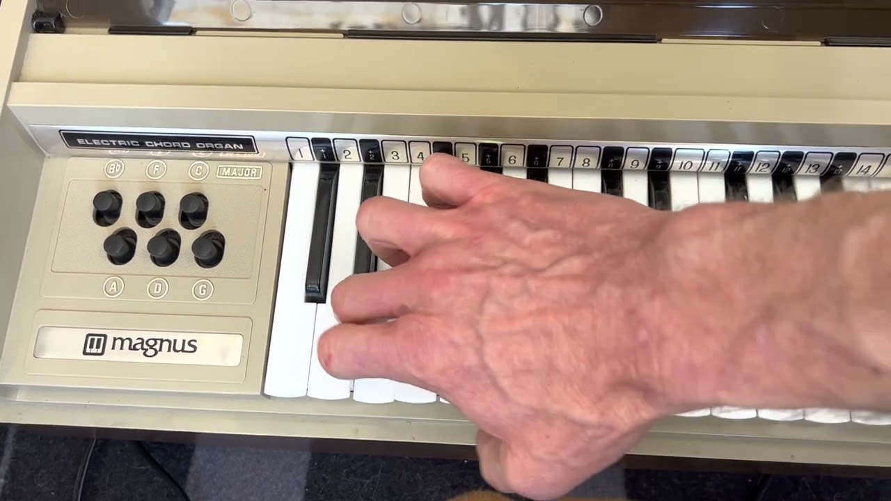 Magnus Portable Chord Organ Vintage 1960s