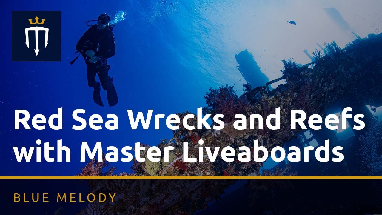 Red Sea Wrecks and Reefs 2024 with Master Liveaboards