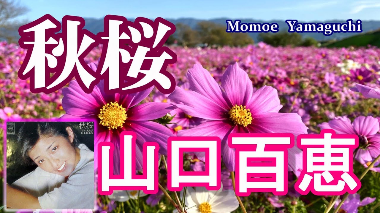 秋桜／山口百恵　歌詞付き【4K】高音質CD音源