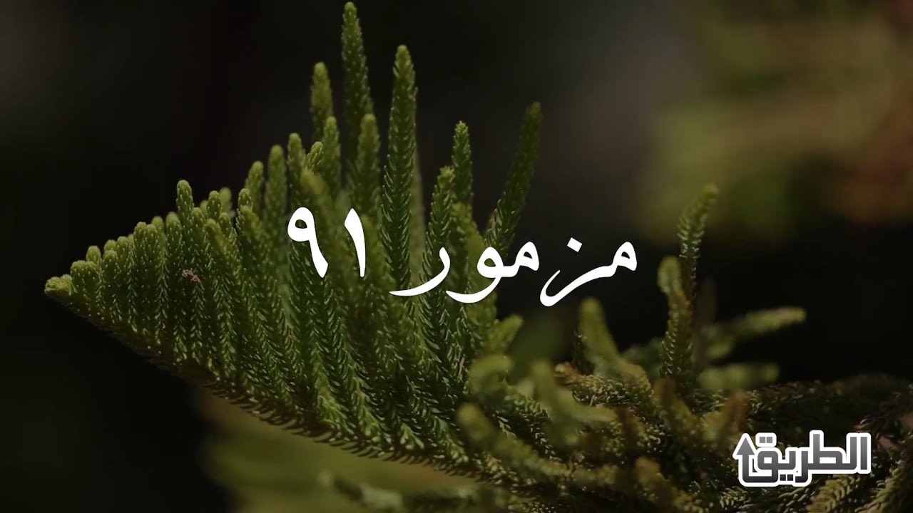 اليك ابكر: مزمور ٩١