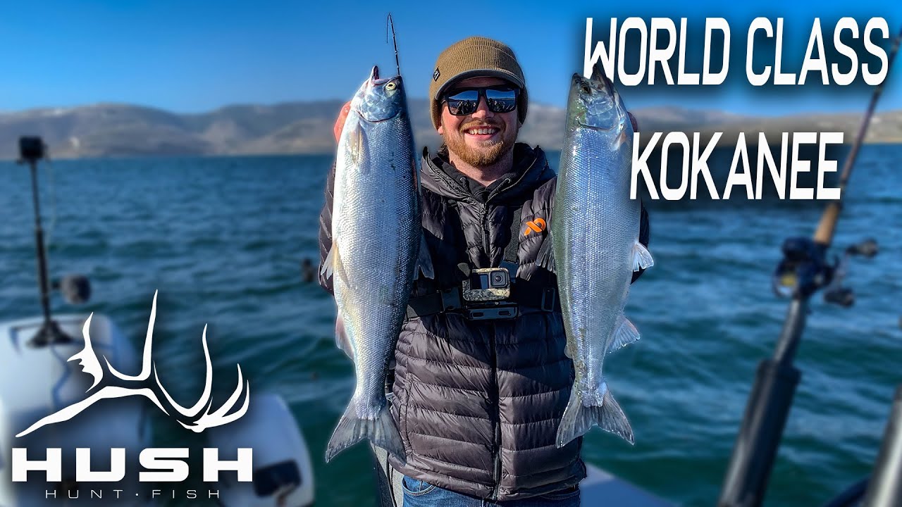 World class Kokanee Fishing! | Kokanee series | S1EP1
