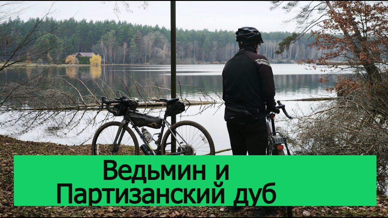Ведьмин и партизанский дуб. Велопакуташка 100 км в ноябре