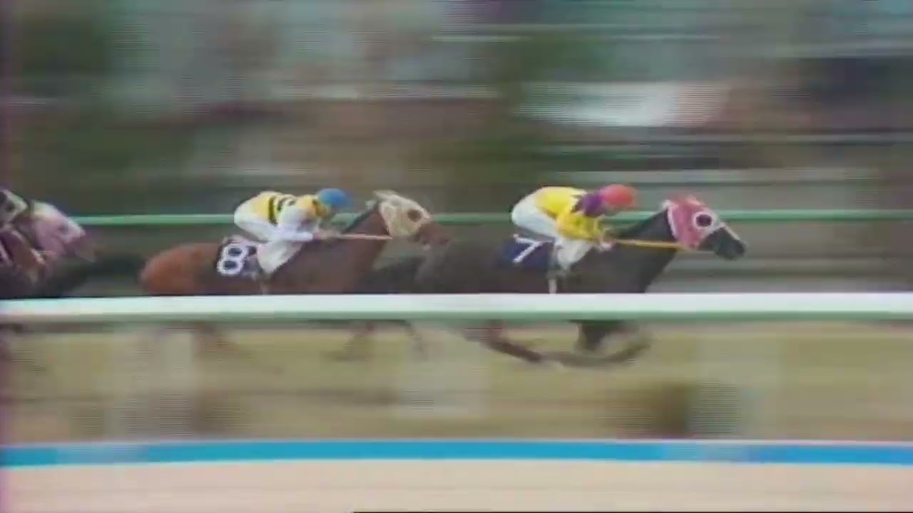 1975年　桜花賞　テスコガビー