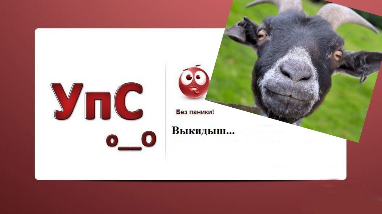 Аборт (выкидыш) у козы.