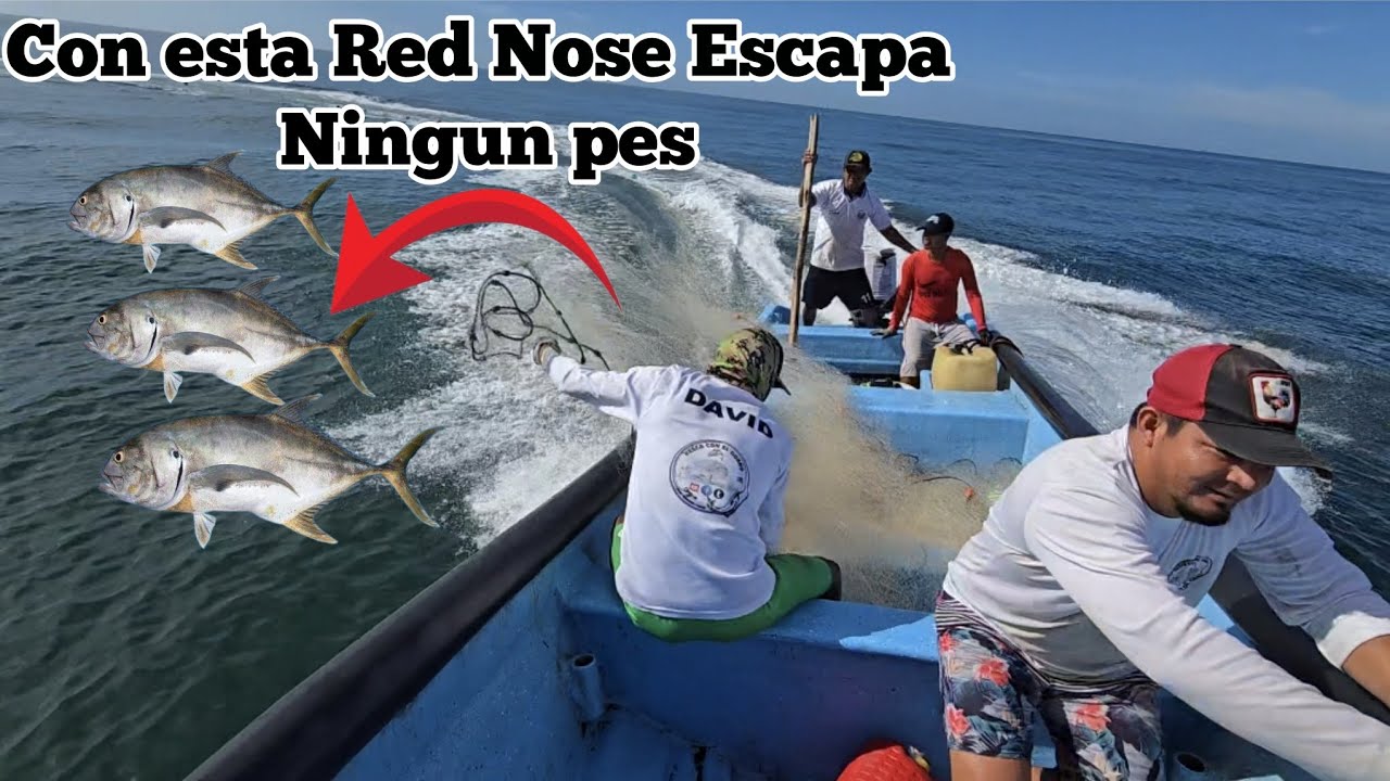 Nunca imaginaras lo que Ustuvo apunto de Pasar Aqui 😱