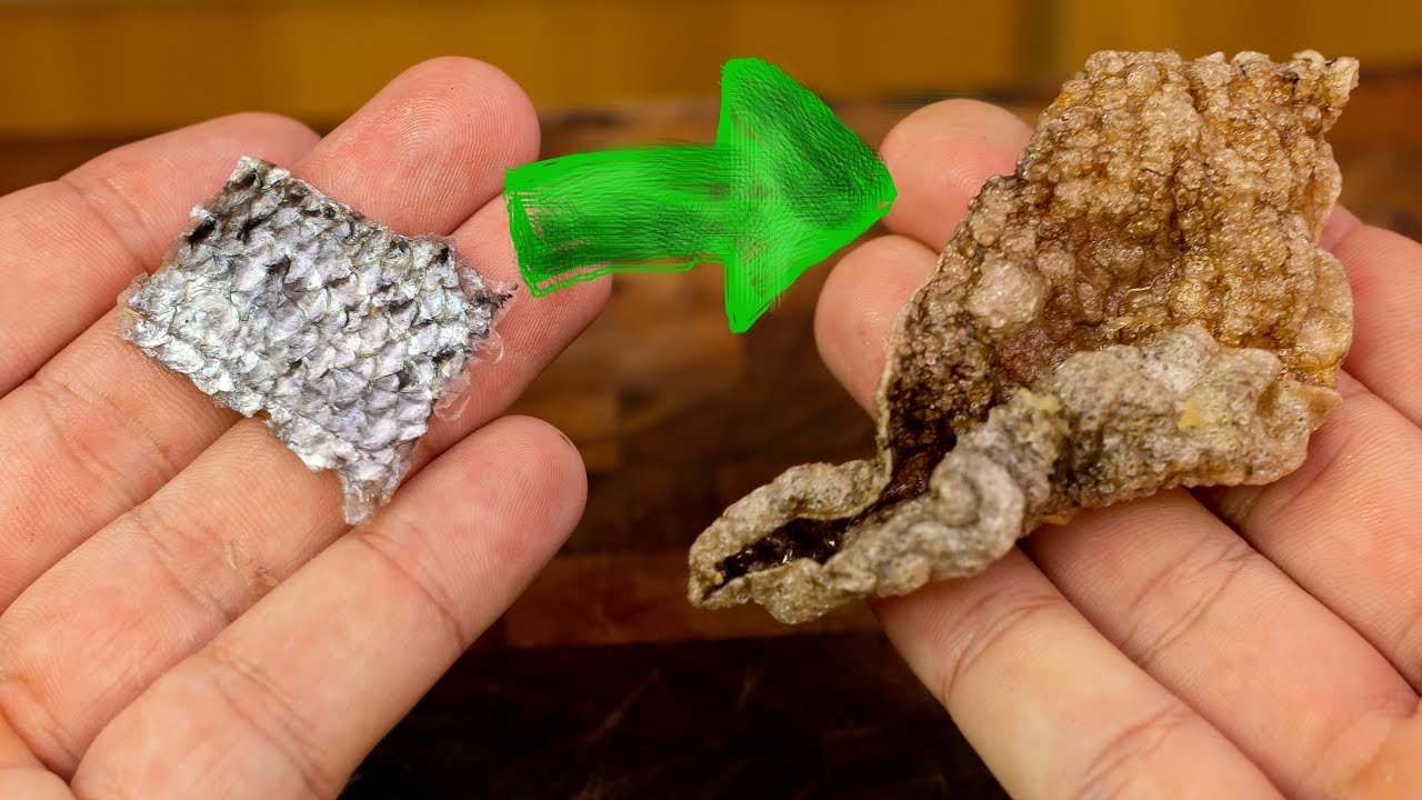 How to Turn Salmon Skin into Crisps/Chips
