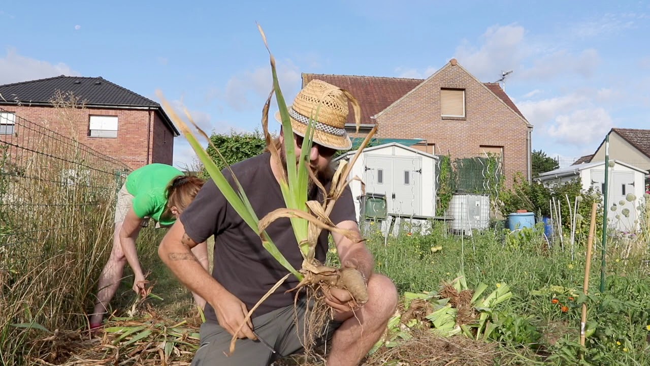 Episode 43 : Comment entretenir ses iris ?