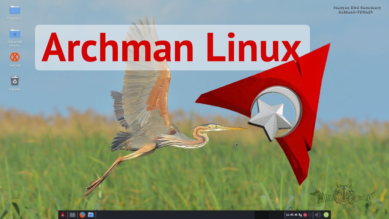 Archman Linux. Обзор дистрибутива