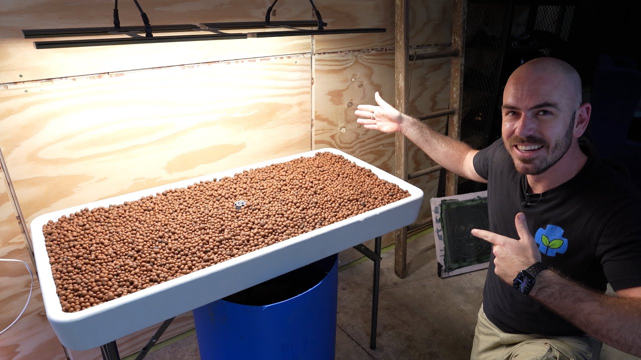 DIY Flood and Drain Table: Set Up, Grow and Timelapse