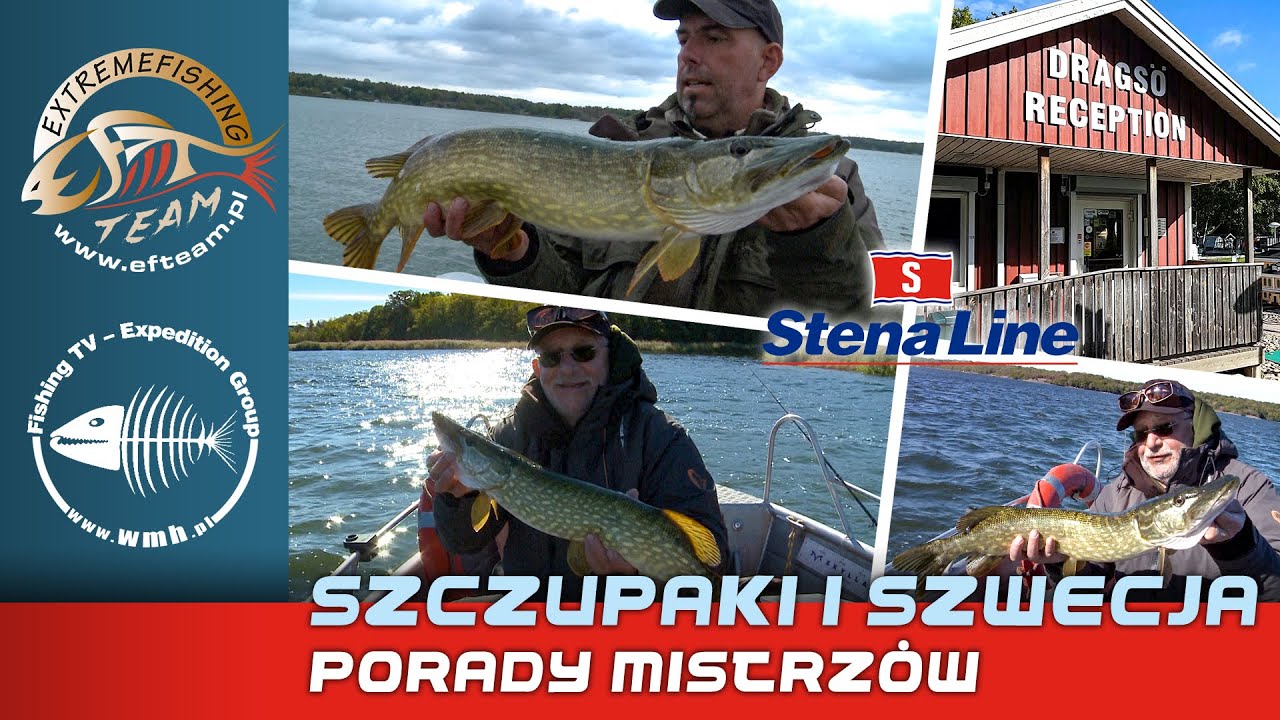 Szczupaki i Szwecja – porady mistrzów