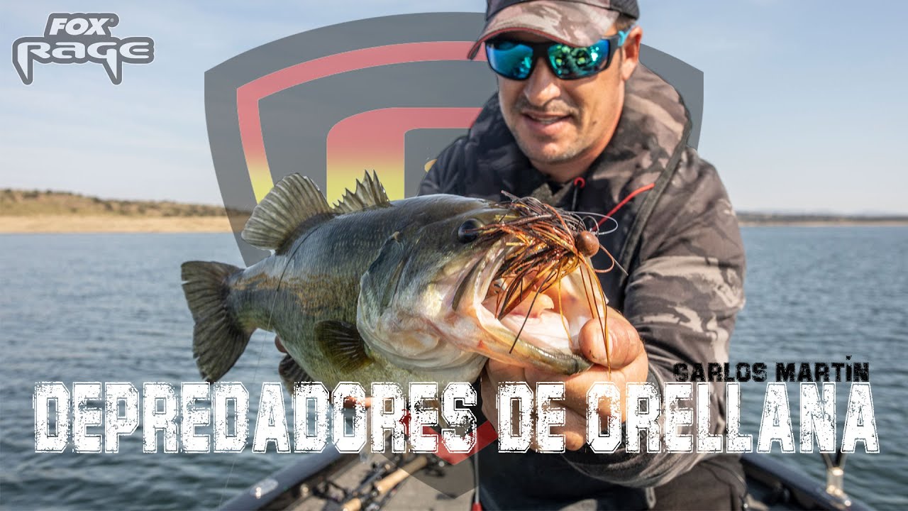DEPREDADORES DE ORELLANA