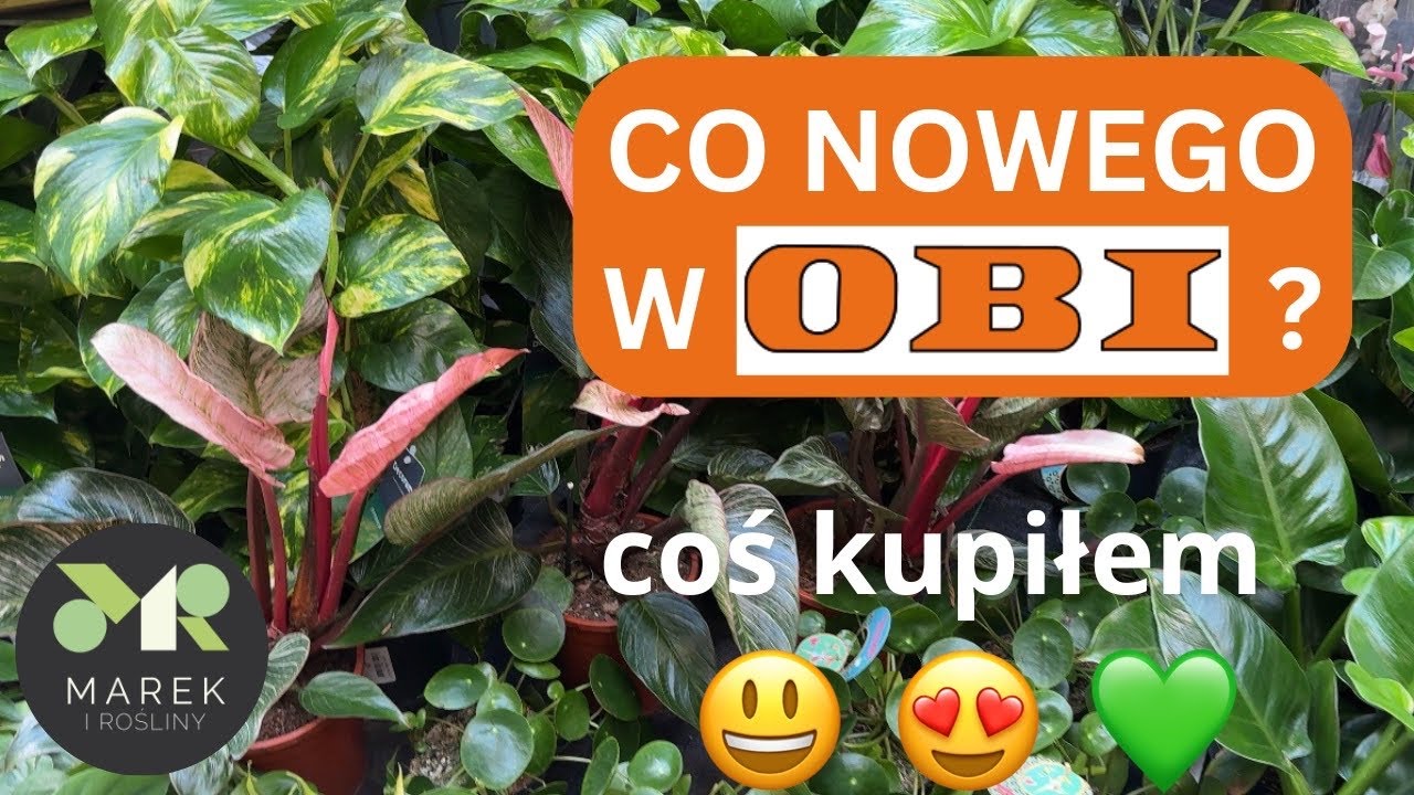 Co nowego w OBI? Ja coś kupiłem💚