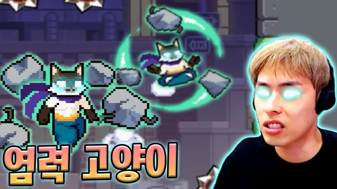 공중에 떠있는 염력고양이...!! :: 캣점프
