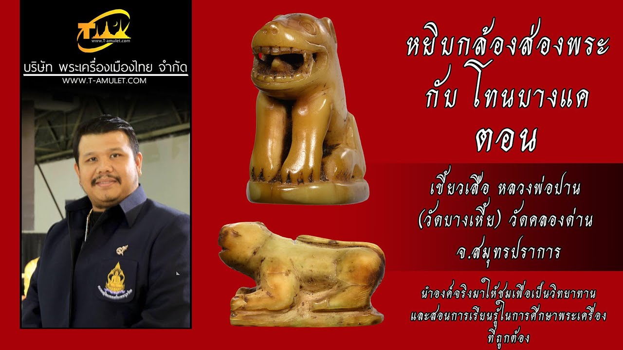 เขี้ยวเสือ หลวงพ่อปาน (วัดบางเหี้ย) วัดคลองด่าน จ.สมุทรปราการ หยิบกล้องส่องพระกับโทนบางแค