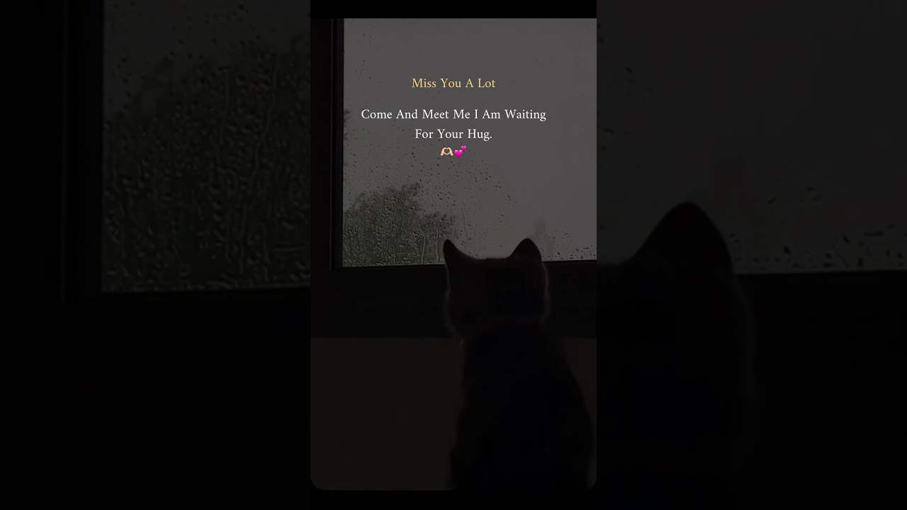 I Miss You A Lot 🥹 Every Day, Every Moment