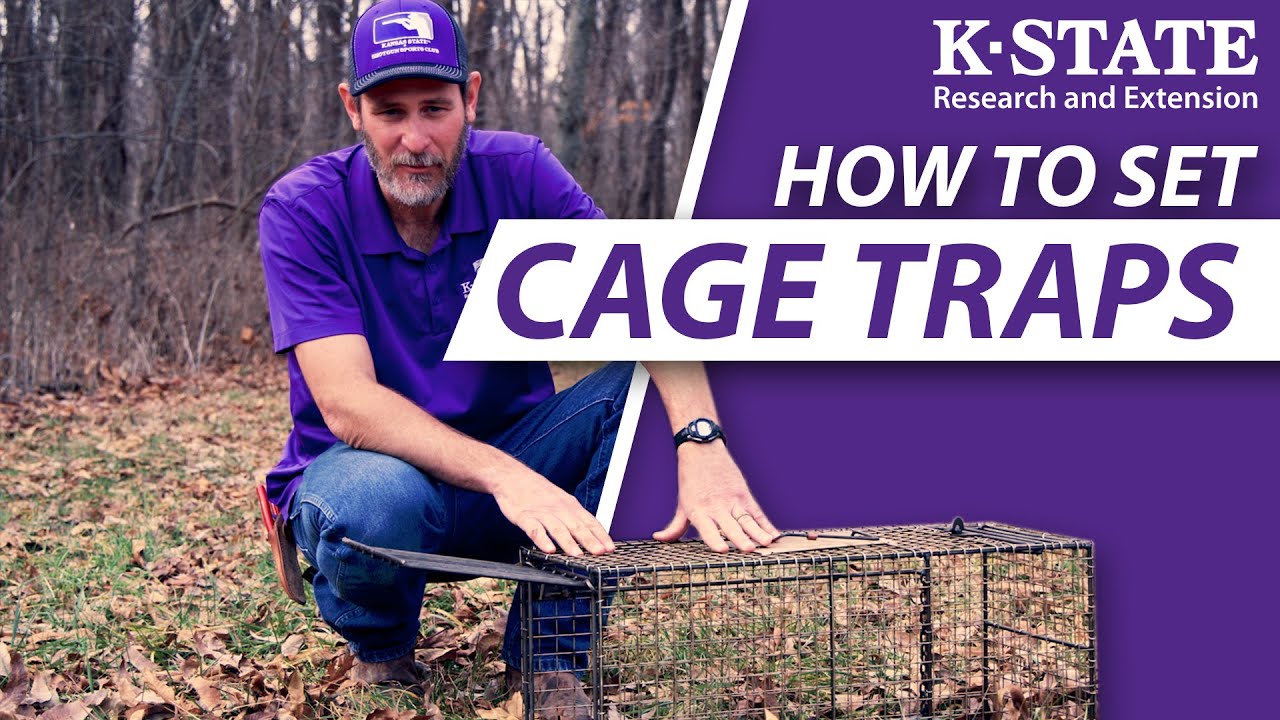 The Complete Guide To Cage Traps/Live Traps | K-State Research and Extension Guides