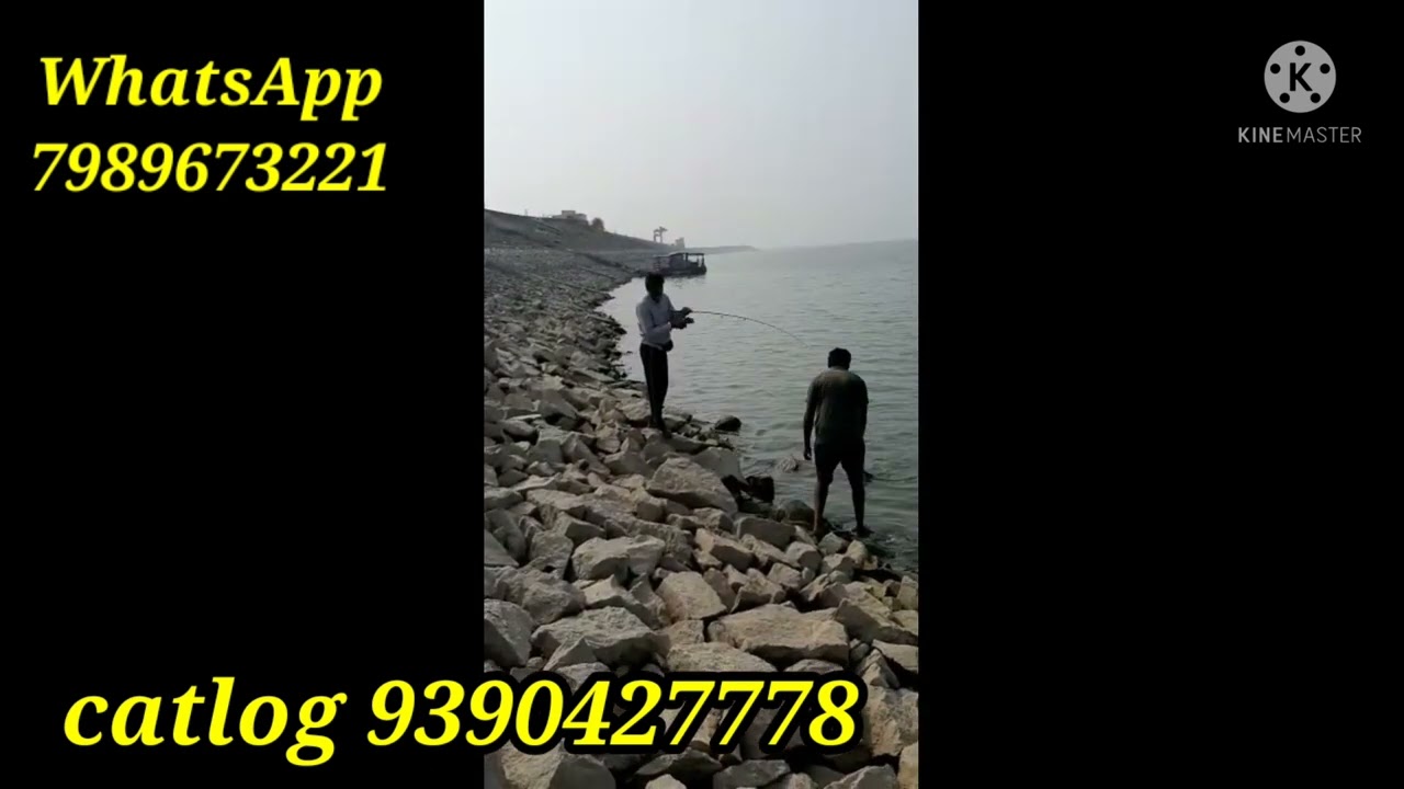 spoon fishing #amazing fishing |big pathan fishing | wallgo  fish| catching