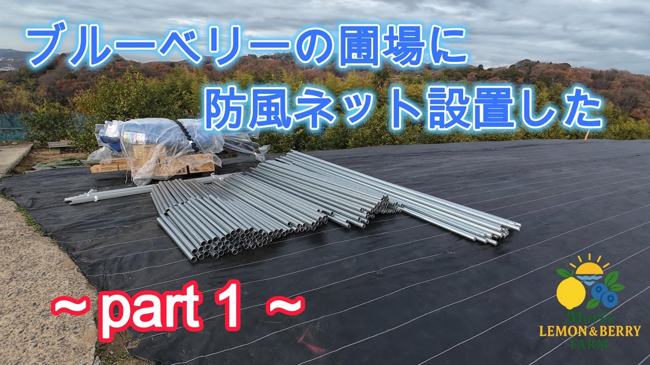タイトルなし 2025 1ブルーベリーの圃場に防風ネット設置してみた。