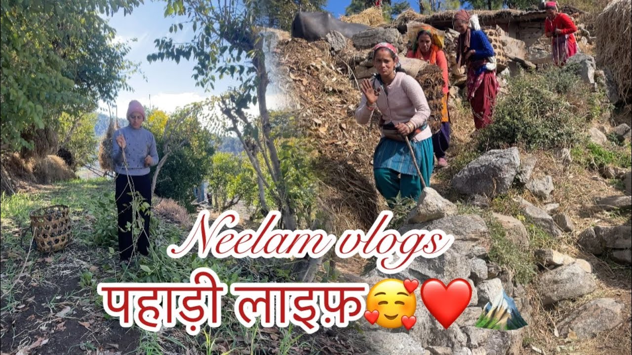 पहाड़ी लाइफ ❤️ | जंगल में सादगी और सुकून 🌿 | Neelam Vlogs