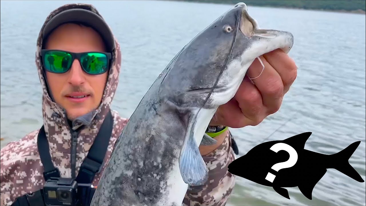 LE HO PROVATE TUTTE! Pesca a Feeder, a Bolognese e a Spinning in Lago: Divertimento e TANTE Catture!