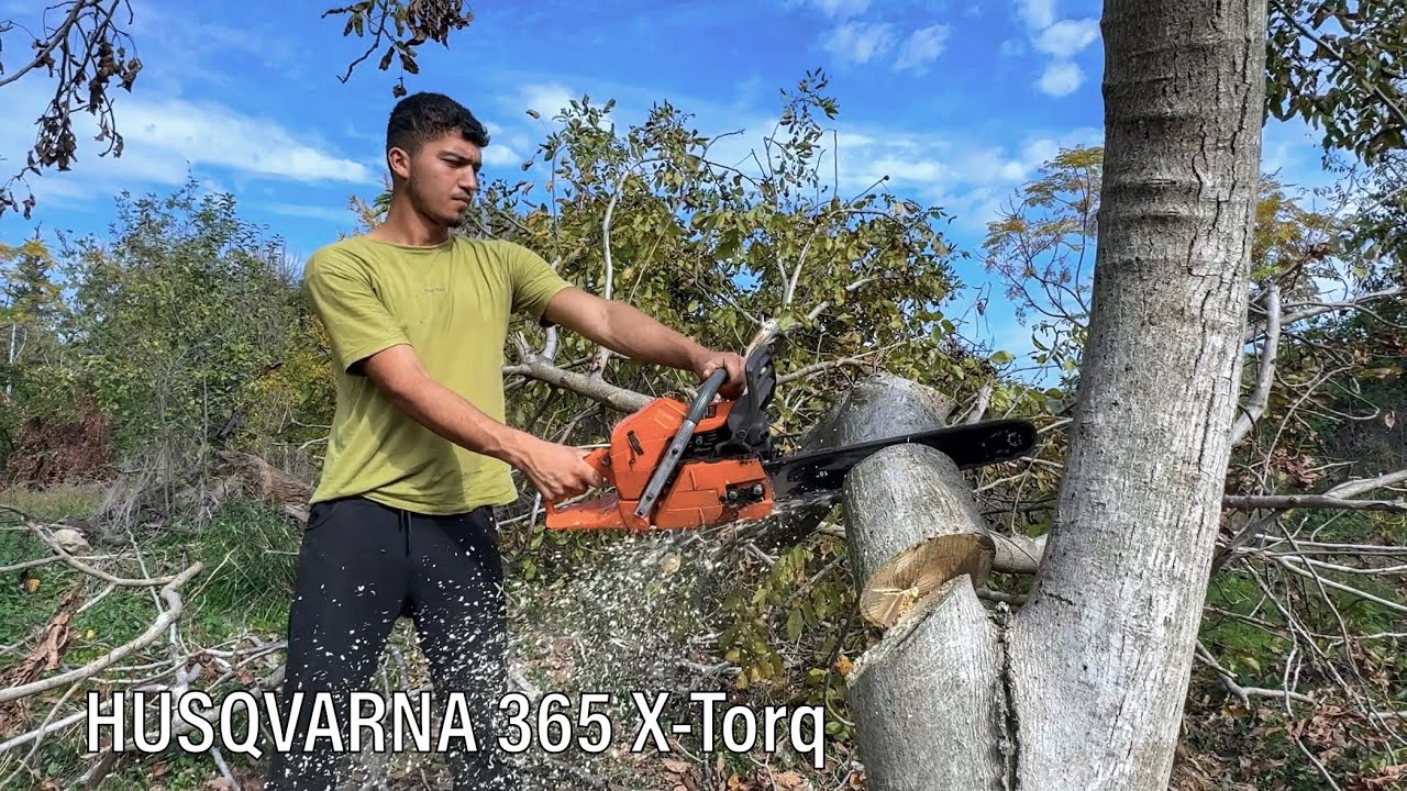 Yeni Husqvarna 365 x- Torq Testereyi Test Ettik ! 