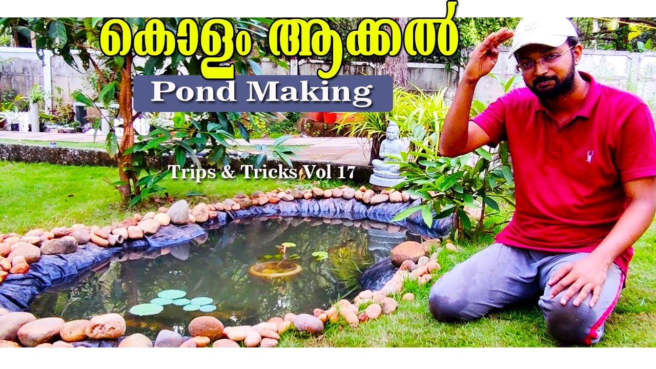 #Landscape #Pond making #Kerala home@Tripstricks Vol 18.