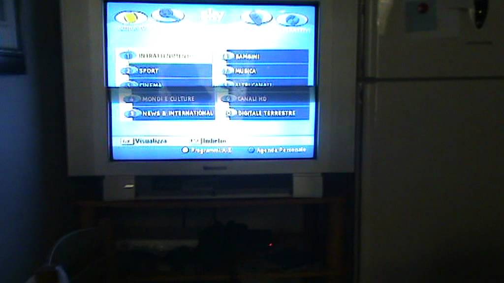 Guida tv SKY 2010